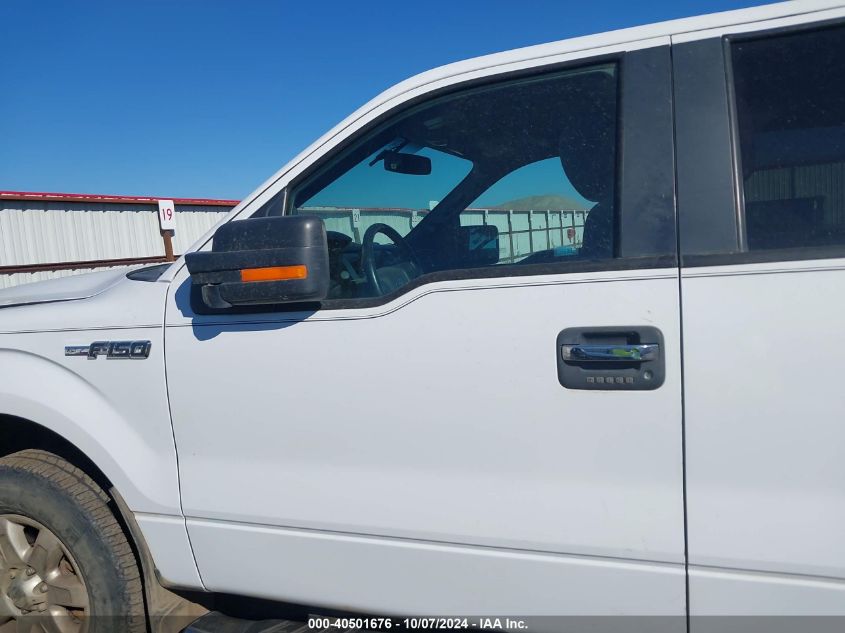 2014 FORD F-150 XLT - 1FTFW1EF4EKF99184