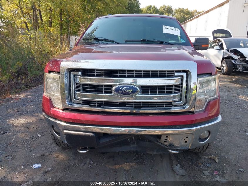 2013 FORD F-150 XLT - 1FTFX1ET8DFD21737