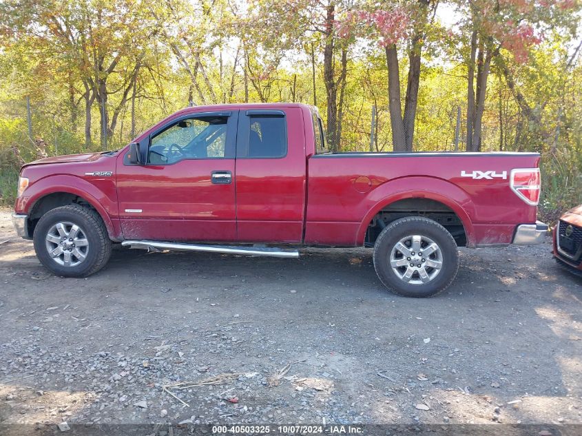 2013 FORD F-150 XLT - 1FTFX1ET8DFD21737