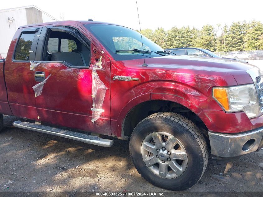 2013 FORD F-150 XLT - 1FTFX1ET8DFD21737