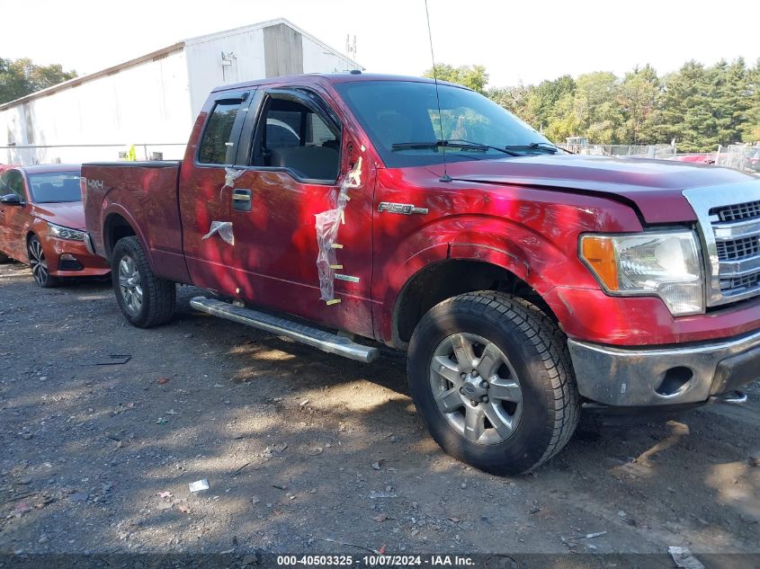 2013 FORD F-150 XLT - 1FTFX1ET8DFD21737