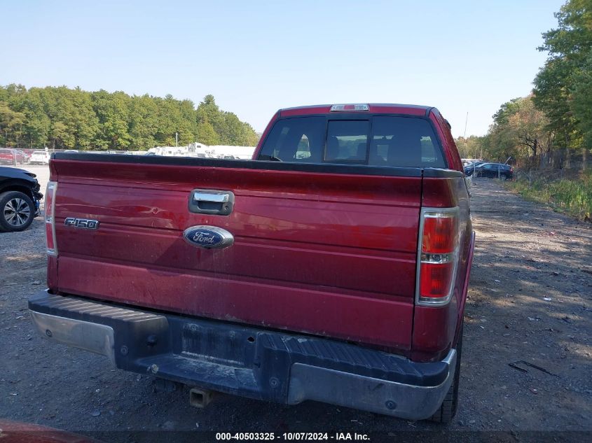 2013 FORD F-150 XLT - 1FTFX1ET8DFD21737