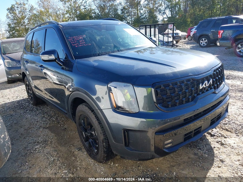2024 KIA TELLURIDE  (VIN: 5XYP5DGC3RG424173)