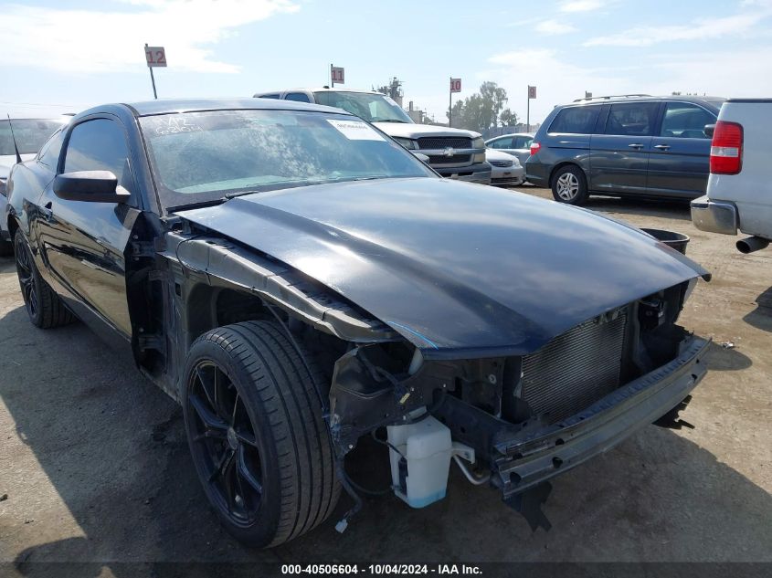 1ZVBP8AM3E5229252 2014 Ford Mustang V6