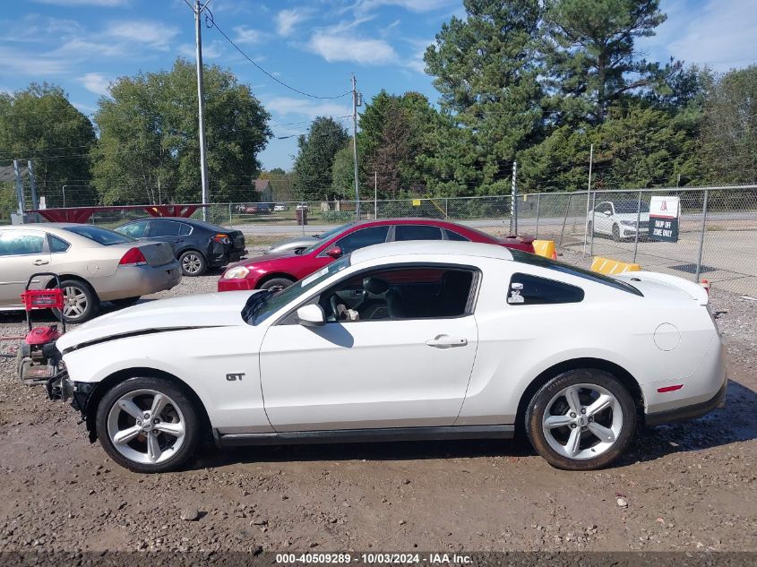 2010 Ford Mustang Gt/Gt Premium VIN: 1ZVBP8CH3A5139206 Lot: 40509289