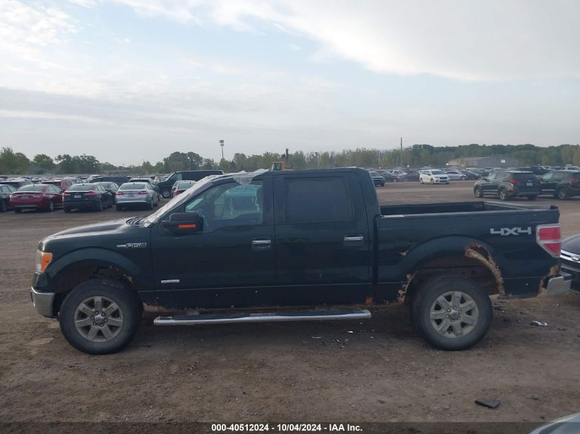 1FTFW1ETXDFD25422 2013 Ford F-150 Xlt