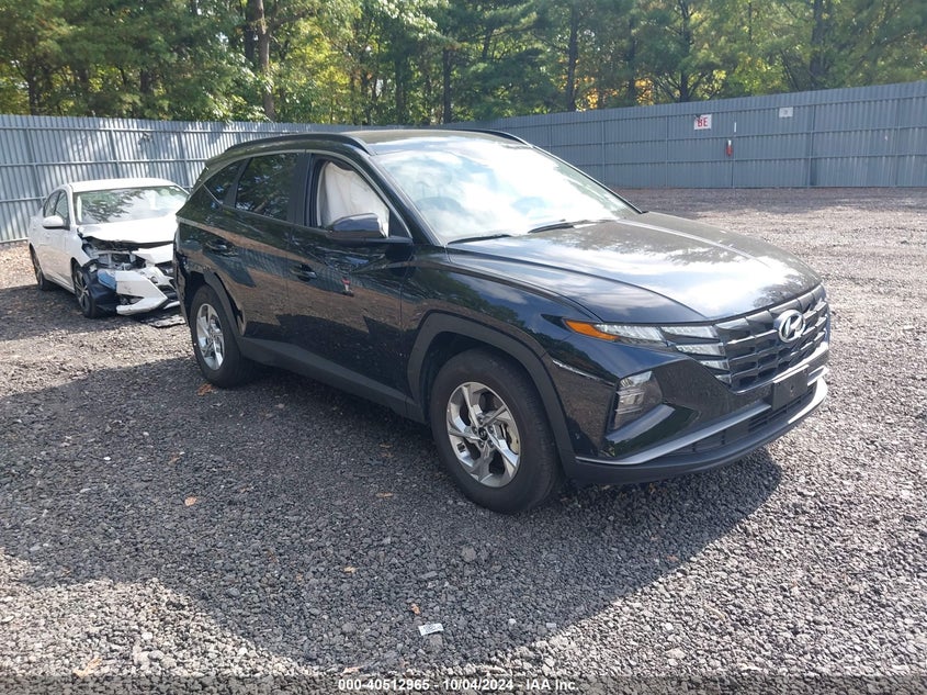 2024 HYUNDAI TUCSON  (VIN: 5NMJBCDE7RH426500)