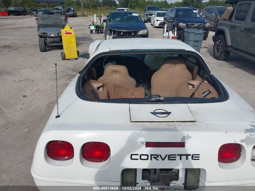 1996 Chevrolet Corvette VIN: 1G1YY22P0T5116056 Lot: 40513628