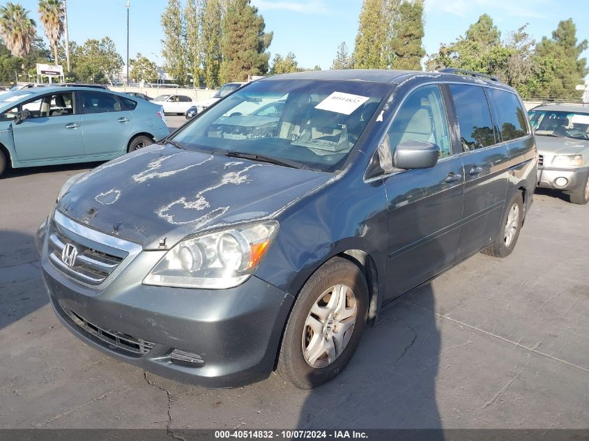 2005 Honda Odyssey Ex VIN: 5FNRL38445B006965 Lot: 40514832