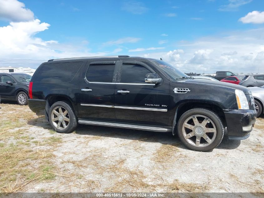 VIN 3MW5R7J02M8C13351 2011 CADILLAC ESCALADE ESV no.13