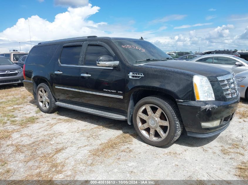 VIN 3MW5R7J02M8C13351 2011 CADILLAC ESCALADE ESV no.1