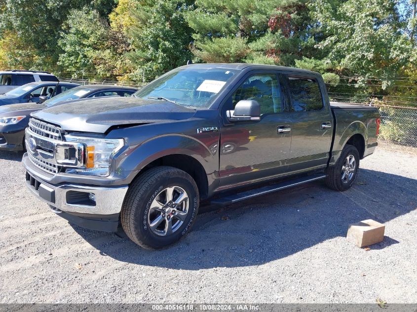 1FTEW1EP7LFB43951 2020 FORD F-150 - Image 2