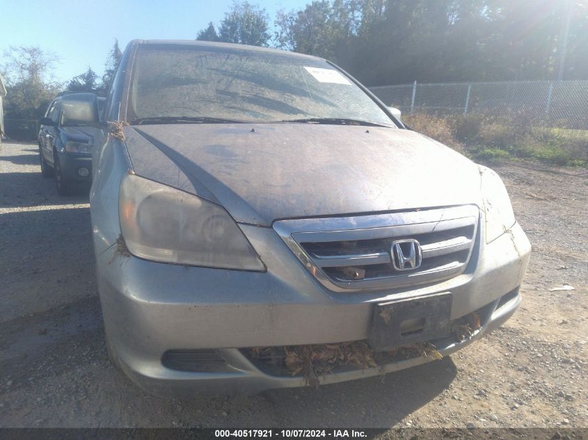 2007 Honda Odyssey Ex-L VIN: 5FNRL38787B023703 Lot: 40517921