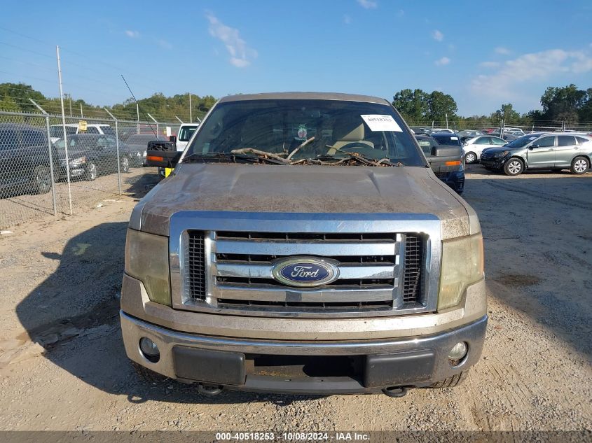 1FTFX1EV8AFB15685 2010 Ford F150 Super Cab