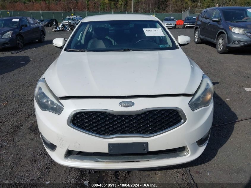 2014 Kia Cadenza Premium VIN: KNALN4D74E5126303 Lot: 40519513