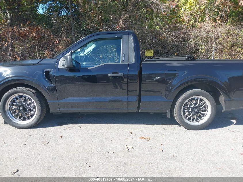 2023 FORD F-150 XLT - 1FTMF1C59PKE03812