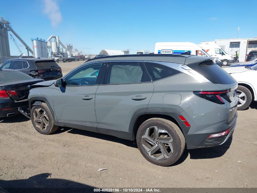 2024 Hyundai Tucson Limited VIN: 5NMJECDE5RH317542 Lot: 40520196