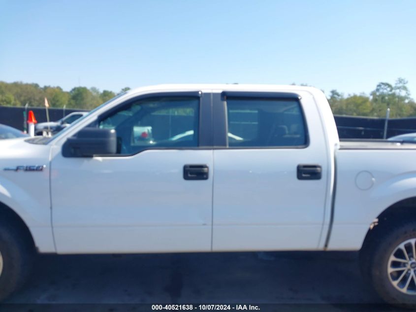 1FTRW12809FA69182 2009 Ford F-150 Xl/Xlt