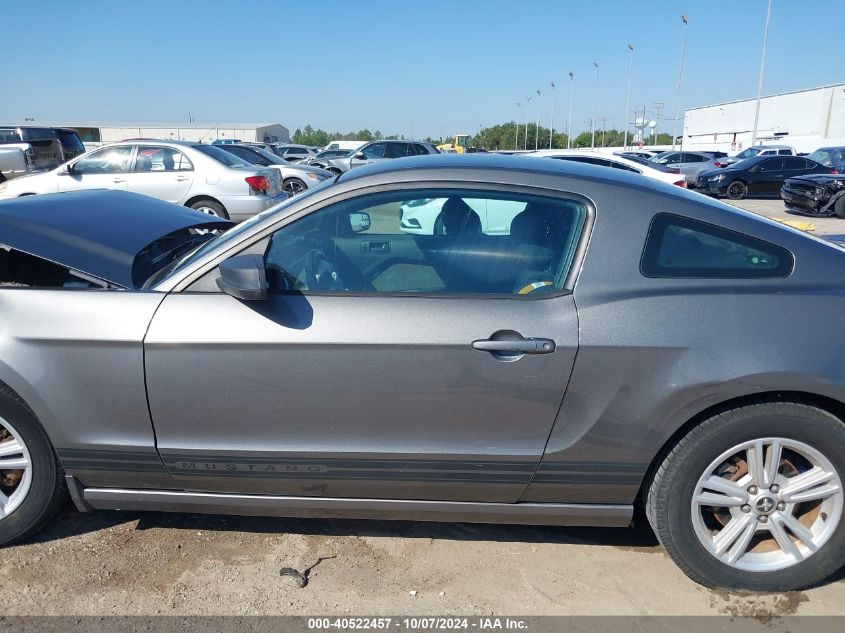 2013 FORD MUSTANG V6 - 1ZVBP8AM3D5254814