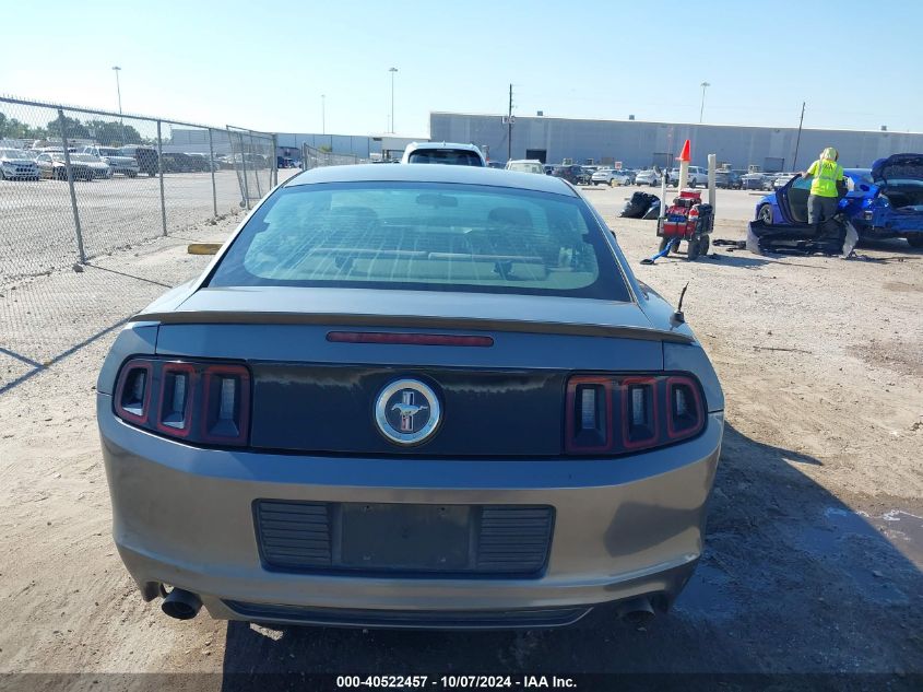 2013 FORD MUSTANG V6 - 1ZVBP8AM3D5254814