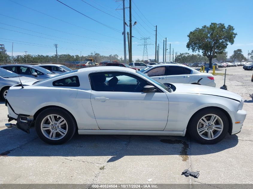 2014 Ford Mustang V6 VIN: 1ZVBP8AM3E5282050 Lot: 40524504