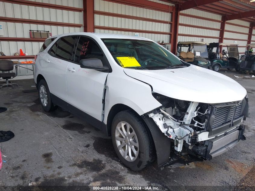 2019 CHEVROLET EQUINOX LS - 3GNAXHEV1KS602489