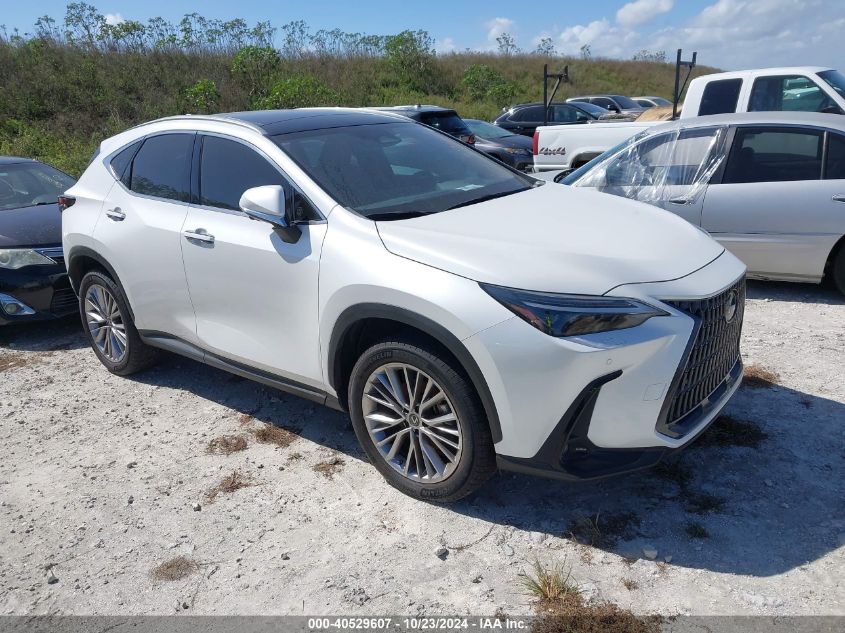 2022 Lexus NX 350, Luxury