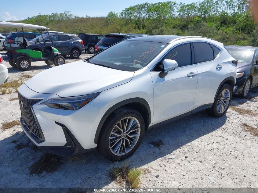 VIN JTJHGCEZ8N2007570 2022 Lexus NX 350, Luxury no.2