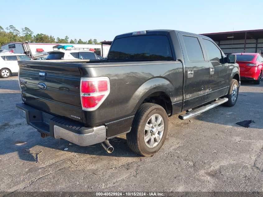 2011 Ford F-150 Xlt VIN: 1FTEW1CM4BFA11494 Lot: 40529924