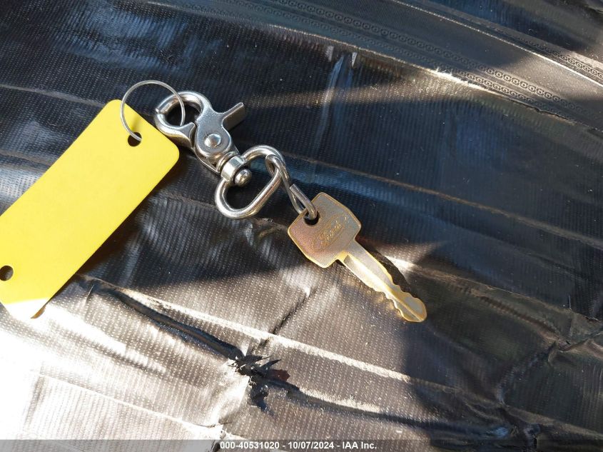 1970 Ford F150 VIN: 000000F10YRJ58450 Lot: 40531020