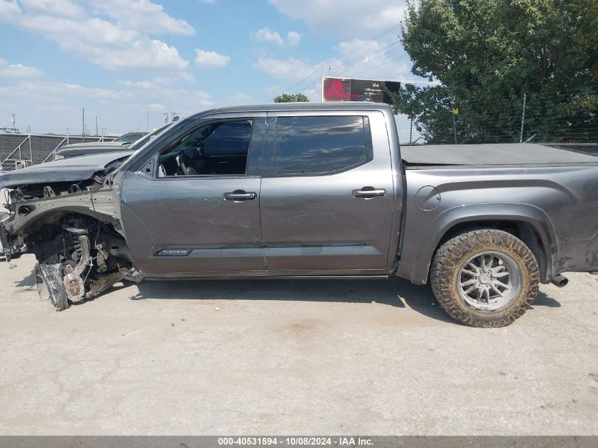 2023 Toyota Tundra Platinum VIN: 5TFNA5DB6PX116753 Lot: 40531594