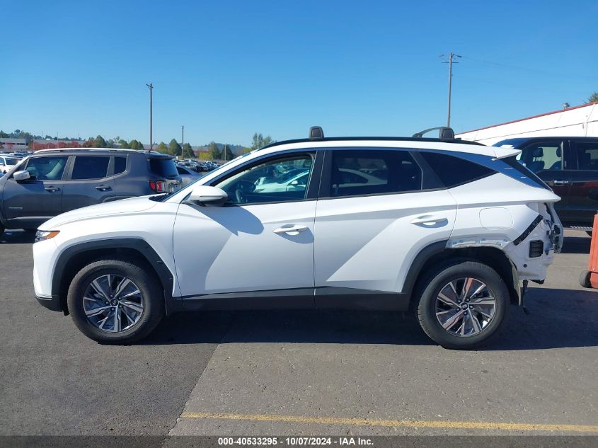 2022 Hyundai Tucson Hybrid Blue VIN: KM8JBCA11NU030000 Lot: 40533295