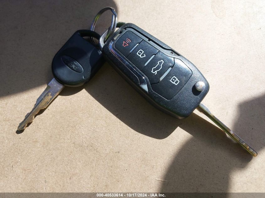 2004 Ford Expedition Eddie Bauer VIN: 1FMPU17L74LB57243 Lot: 40533614