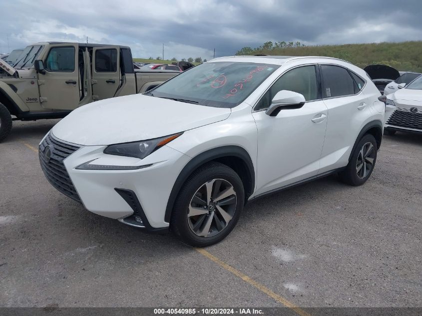 VIN JTJGARBZ2M5020705 2021 Lexus NX 300 no.2