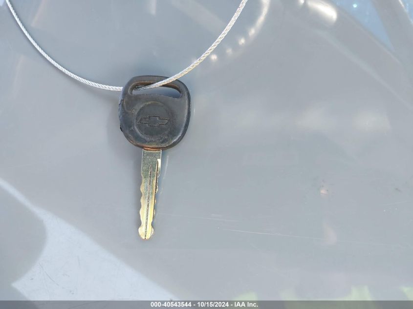 1999 Chevrolet Silverado 1500 VIN: 1GCEC14W9XZ209065 Lot: 40543544