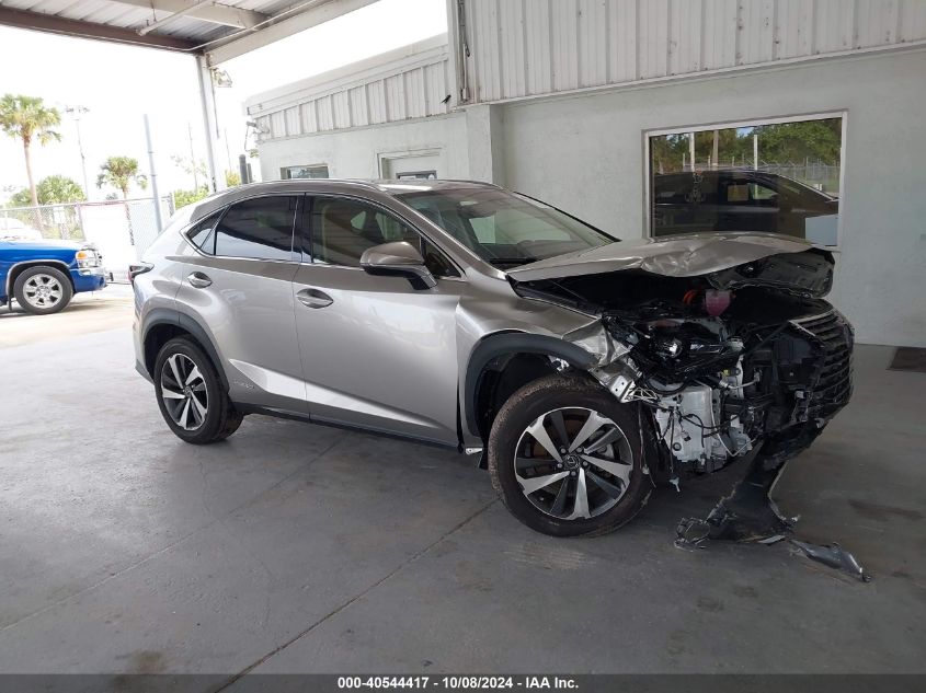 2020 Lexus Nx 300H VIN: JTJGJRDZ9L2142698 Lot: 40544417