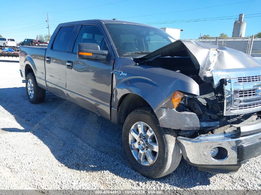 1FTFW1EF6EFC47538 2014 Ford F-150 Xlt