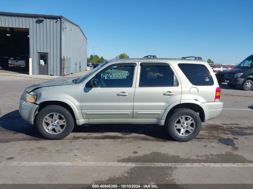 2004 Ford Escape Limited VIN: 1FMCU04194KA29989 Lot: 40545350