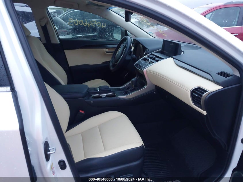 2019 LEXUS NX 300 - JTJYARBZ7K2142155