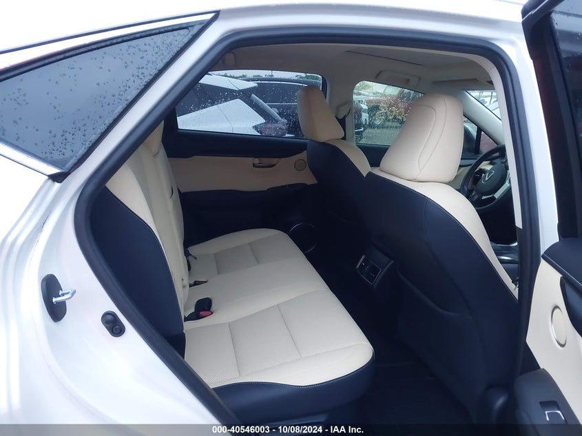 2019 LEXUS NX 300 - JTJYARBZ7K2142155