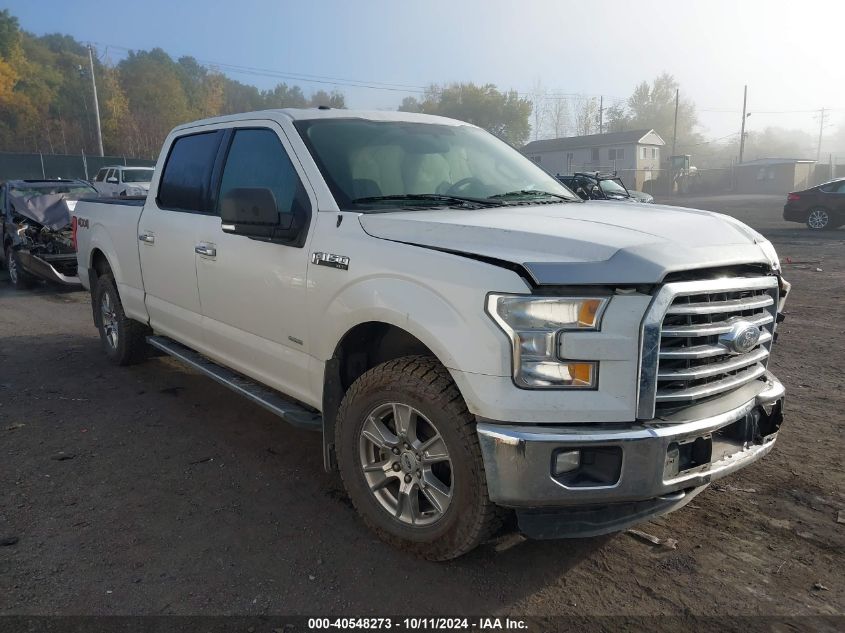 1FTFW1EG3FFA47680 2015 Ford F-150 Xlt