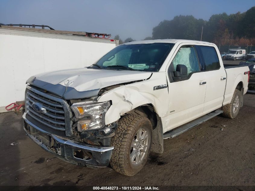 1FTFW1EG3FFA47680 2015 Ford F-150 Xlt