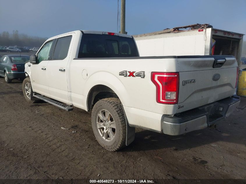 1FTFW1EG3FFA47680 2015 Ford F-150 Xlt