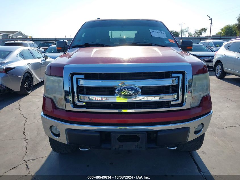 2013 FORD F-150 XLT - 1FTFW1EF8DKE33457