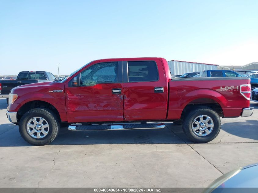 2013 FORD F-150 XLT - 1FTFW1EF8DKE33457