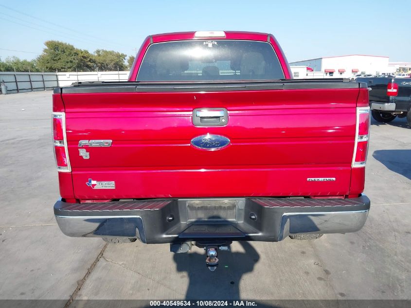 2013 FORD F-150 XLT - 1FTFW1EF8DKE33457