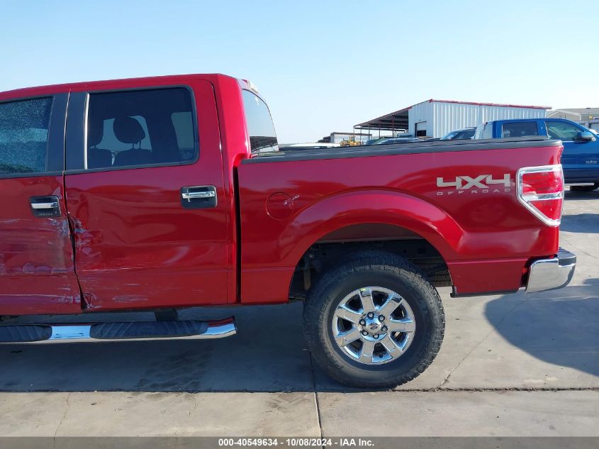 2013 FORD F-150 XLT - 1FTFW1EF8DKE33457