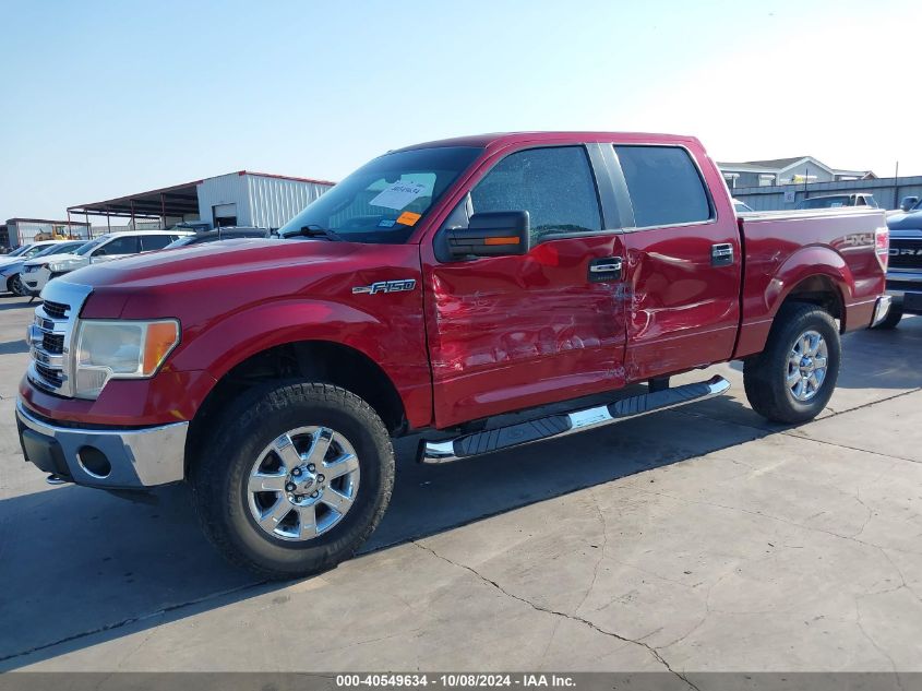 2013 FORD F-150 XLT - 1FTFW1EF8DKE33457