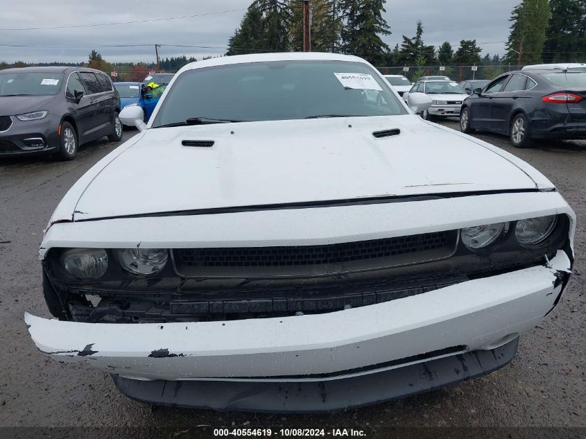 2C3CDYAG0DH545035 2013 Dodge Challenger Rallye Redline