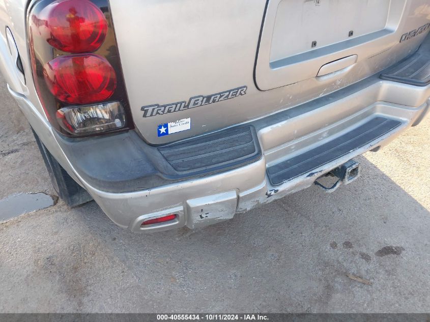 2004 Chevrolet Trailblazer Ls VIN: 1GNDT13S042352007 Lot: 40555434